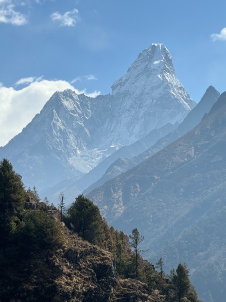 Majestic Mountain Hills with Lush Trees